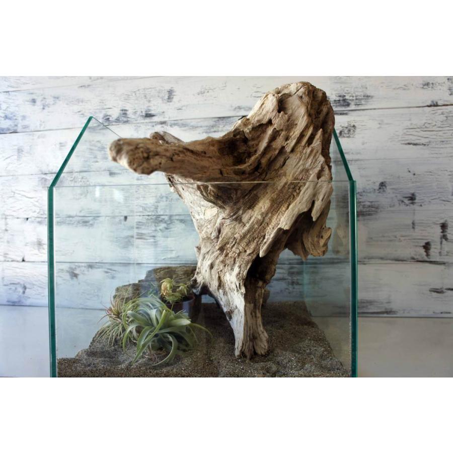 流木 爬虫類 登り木 飼育 テラリウム 水槽 ケージ レイアウト 止まり木 ディスプレイ 昆虫 生き物 インテリア 鳥 トカゲ 262 Tera262 Wood Drops 通販 Yahoo ショッピング