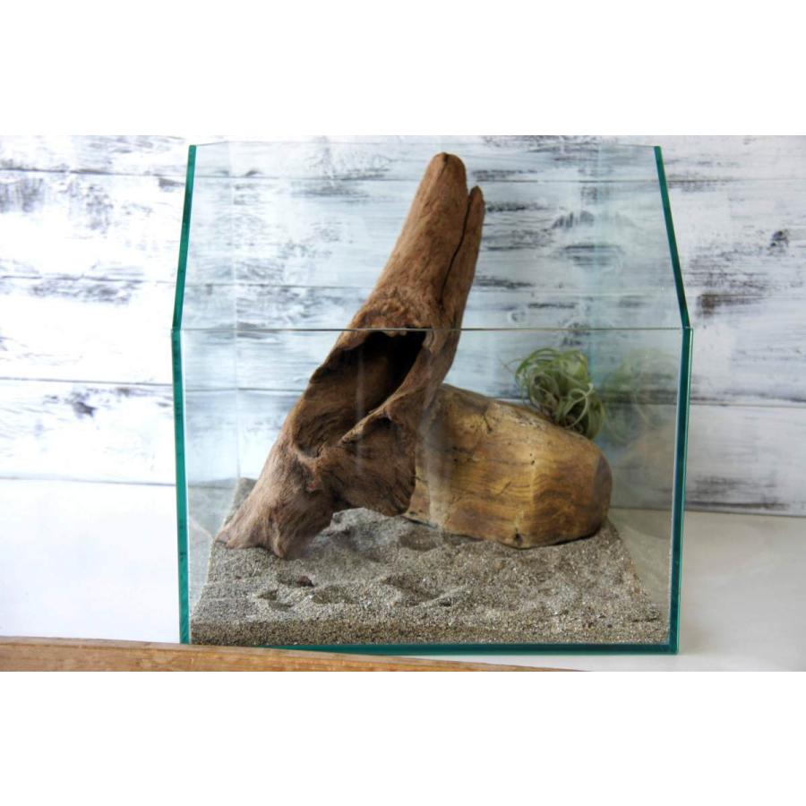 流木 アク抜き処理済 テラリウム 爬虫類 トカゲ ヤモリ 登り木 オシャレ カメ リビング キャンプ 昆虫 水槽 インテリア アウトドア 278 Tera278 Wood Drops 通販 Yahoo ショッピング