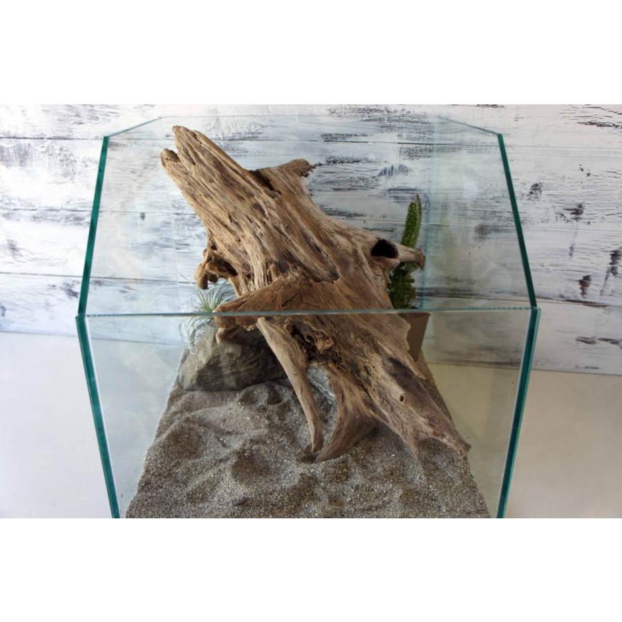 流木 爬虫類 登り木 あく抜き処理 煮沸消毒済 トカゲ ヤモリ ケージ