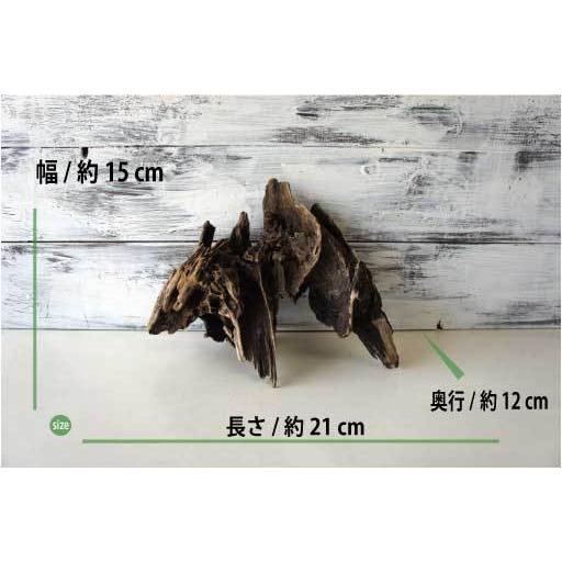 流木 爬虫類 登り木 あく抜き処理 煮沸消毒済 トカゲ ヤモリ ケージ