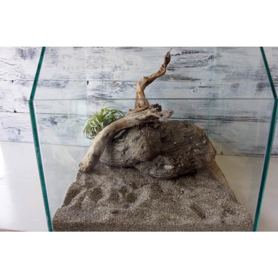 流木 爬虫類 登り木 飼育 アク抜き処理済 テラリウム 水槽 ケージ レイアウト 止まり木 ディスプレイ インテリア トカゲ ヤモリ 296 Tera296 Wood Drops 通販 Yahoo ショッピング