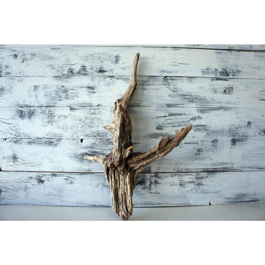 流木 爬虫類 登り木 あく抜き処理 煮沸消毒済 トカゲ ヤモリ ケージ