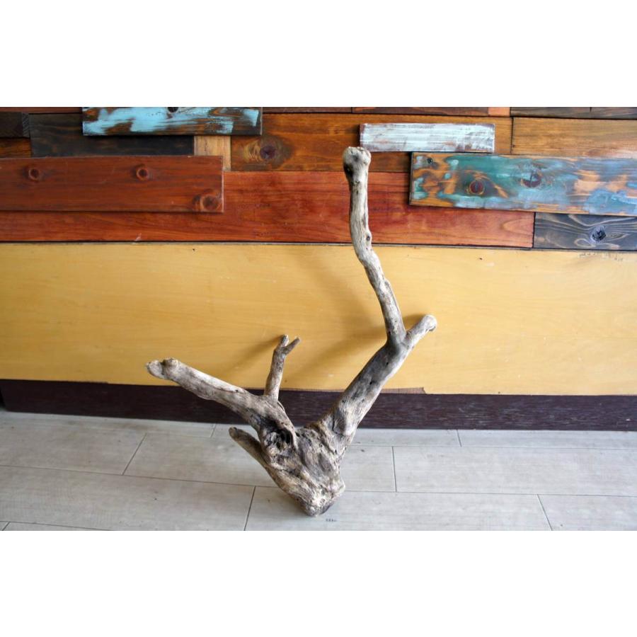 R63アク抜き済み流木 爬虫類シェルター 登り木 インテリア 生け花 R63