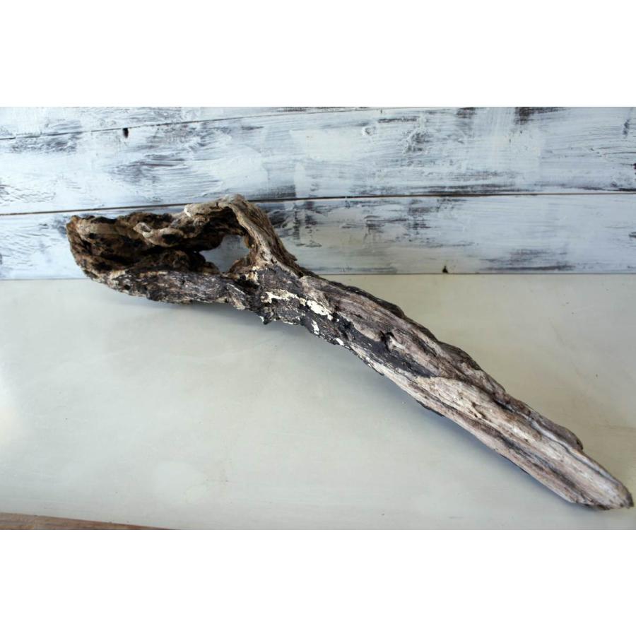 流木 爬虫類 登り木 あく抜き処理 煮沸消毒済 トカゲ ヤモリ ケージ