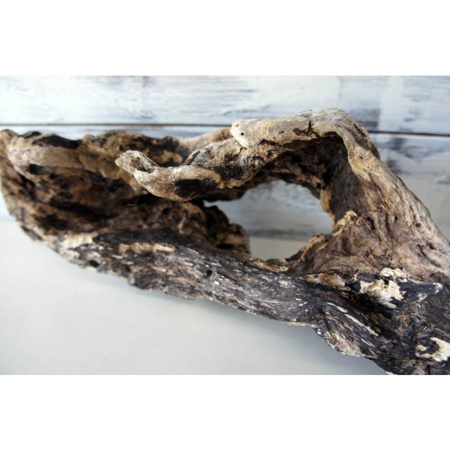 中型爬虫類飼育ケージ ランプステー、登り木付き 流木 爬虫類 登り木 あく抜き処理 煮沸消毒済 トカゲ ヤモリ ケージ