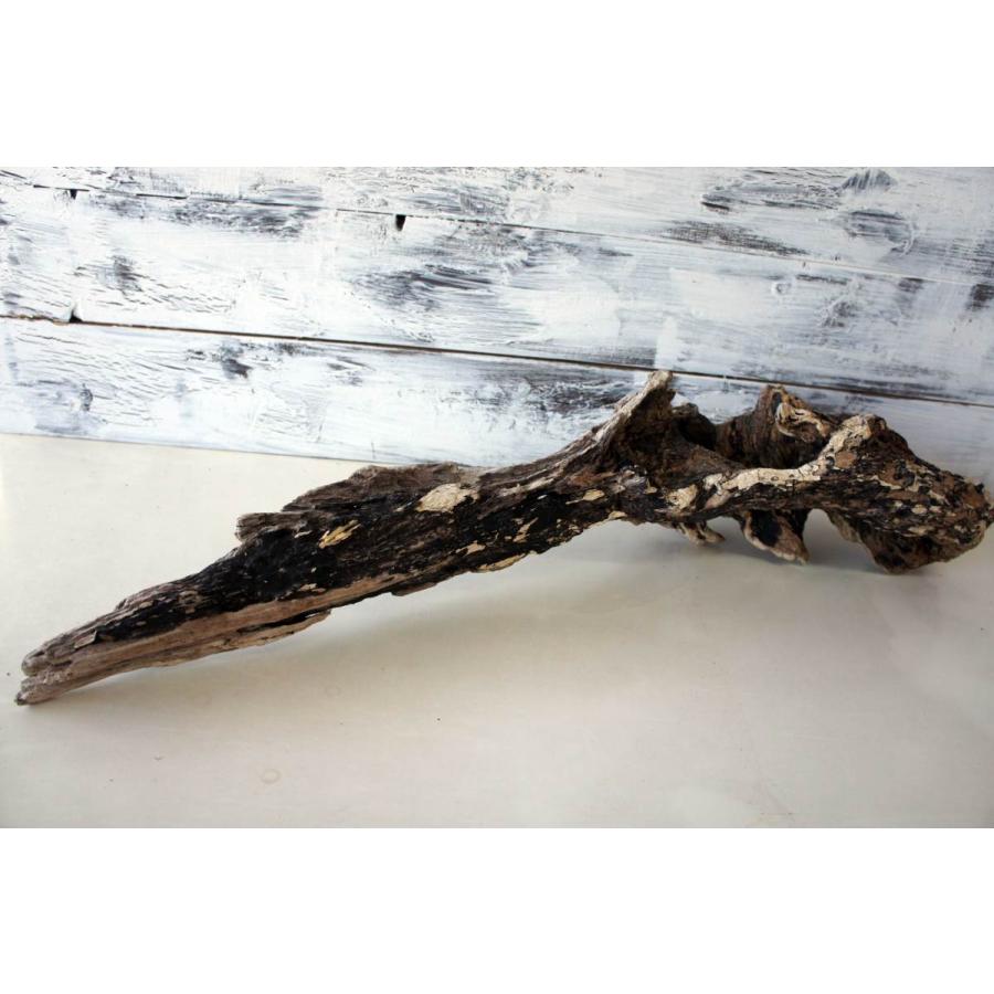 流木 爬虫類 登り木 あく抜き処理 煮沸消毒済 トカゲ ヤモリ ケージ