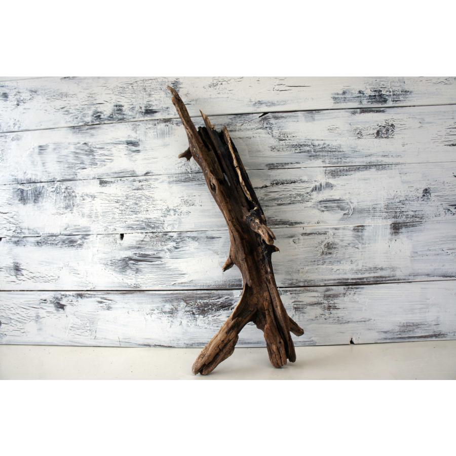 流木 爬虫類 登り木 あく抜き処理 煮沸消毒済 トカゲ ヤモリ ケージ