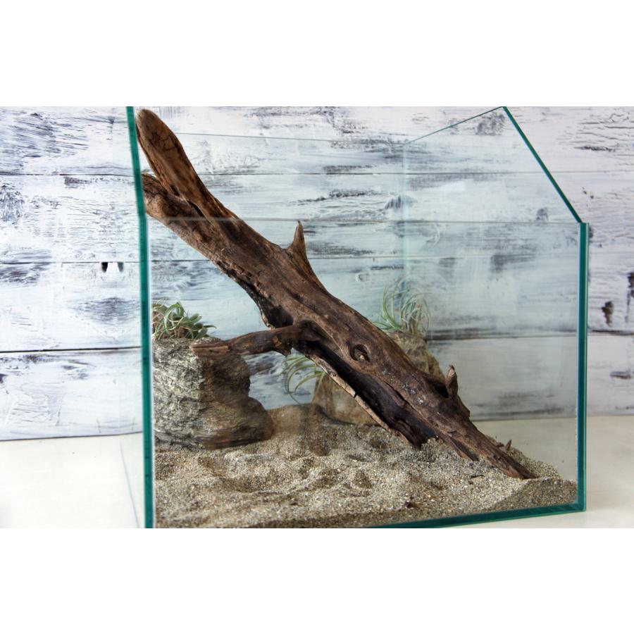 爬虫類ガラスゲージ　流木セット 楽天市場】爬虫類ケージ 三晃商会 グラスゾーン 20WH お一
