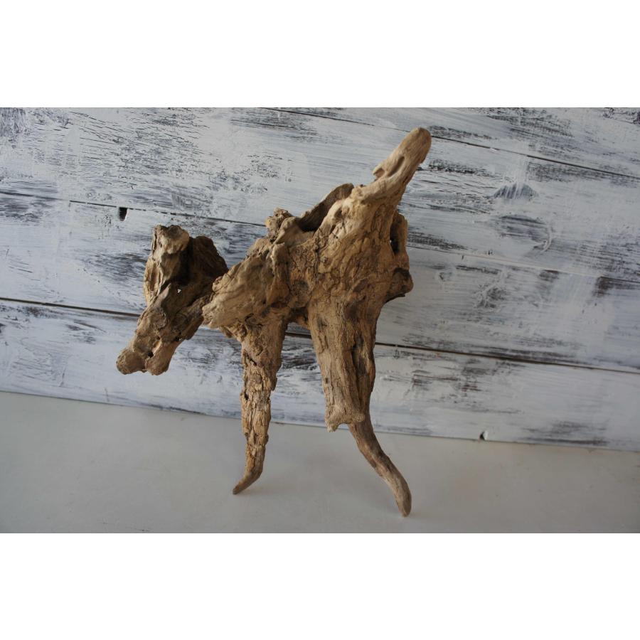 SS403 流木　あく抜き済　爬虫類　アクアテラリウム　インテリア　ビオトープ SS403 流木 あく抜き済 爬虫類 アクアテラリウム インテリア