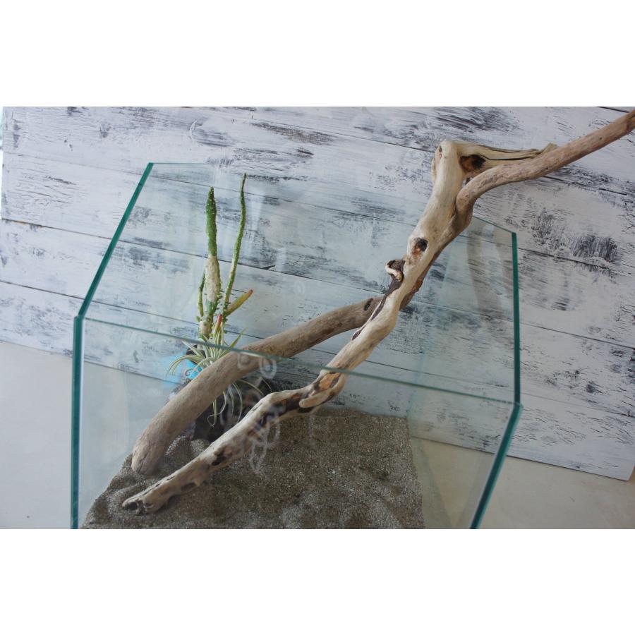 流木10点セット rhc1-553842.jpg