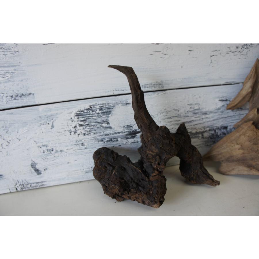 ヤマムラ8点おまとめ アク抜き済流木大型 爬虫類登リ木 ヤマムラ8点