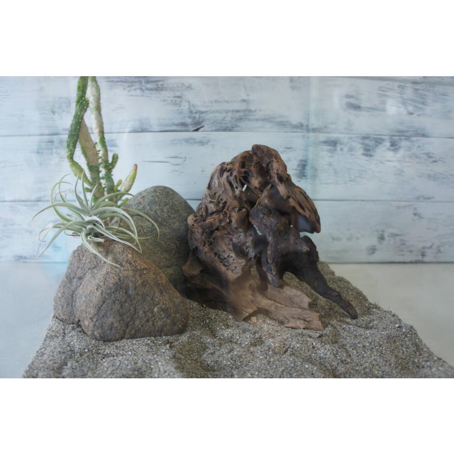 天然苔テラリウムケージ完成品、隠れ家や渡り棒付き、カエル、イモリなど 天然苔テラリウムケージ完成品、隠れ家や渡り棒付き、カエル