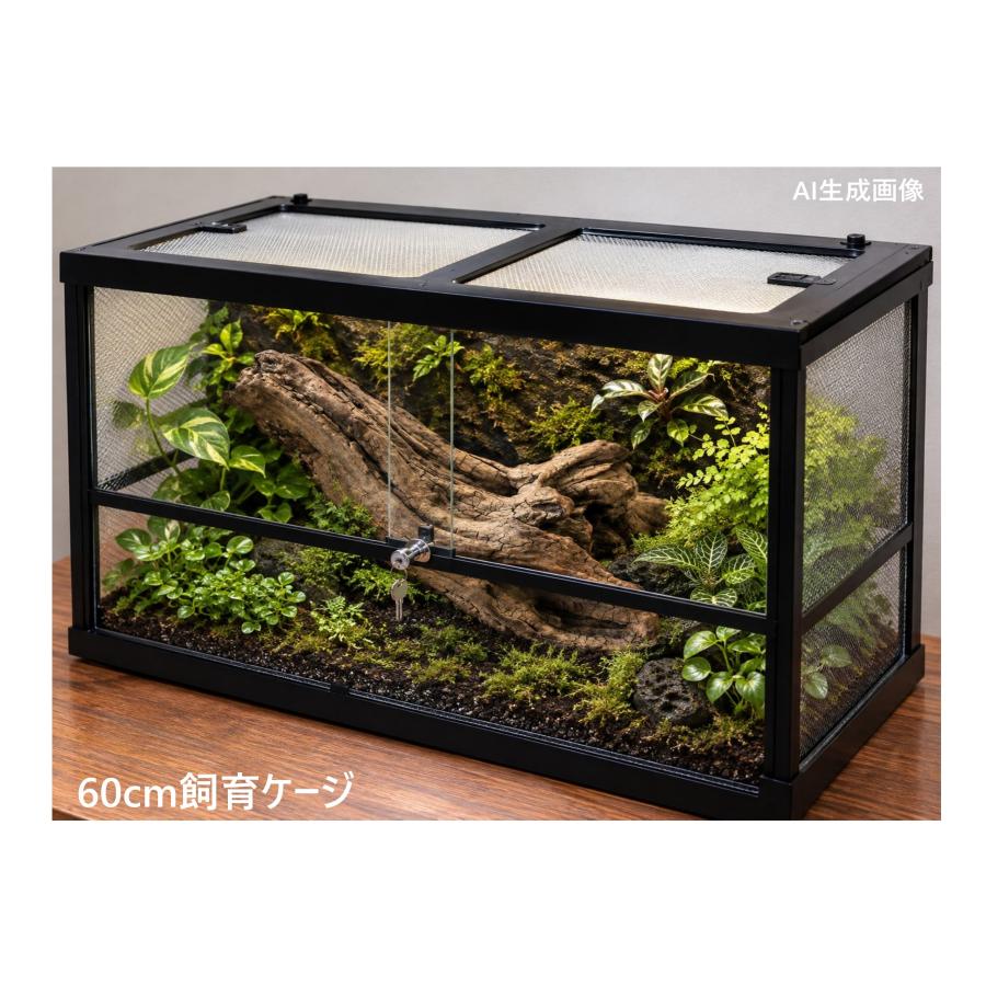 流木 あく抜き処理 煮沸消毒済 テラリウム 爬虫類 登り木 トカゲ