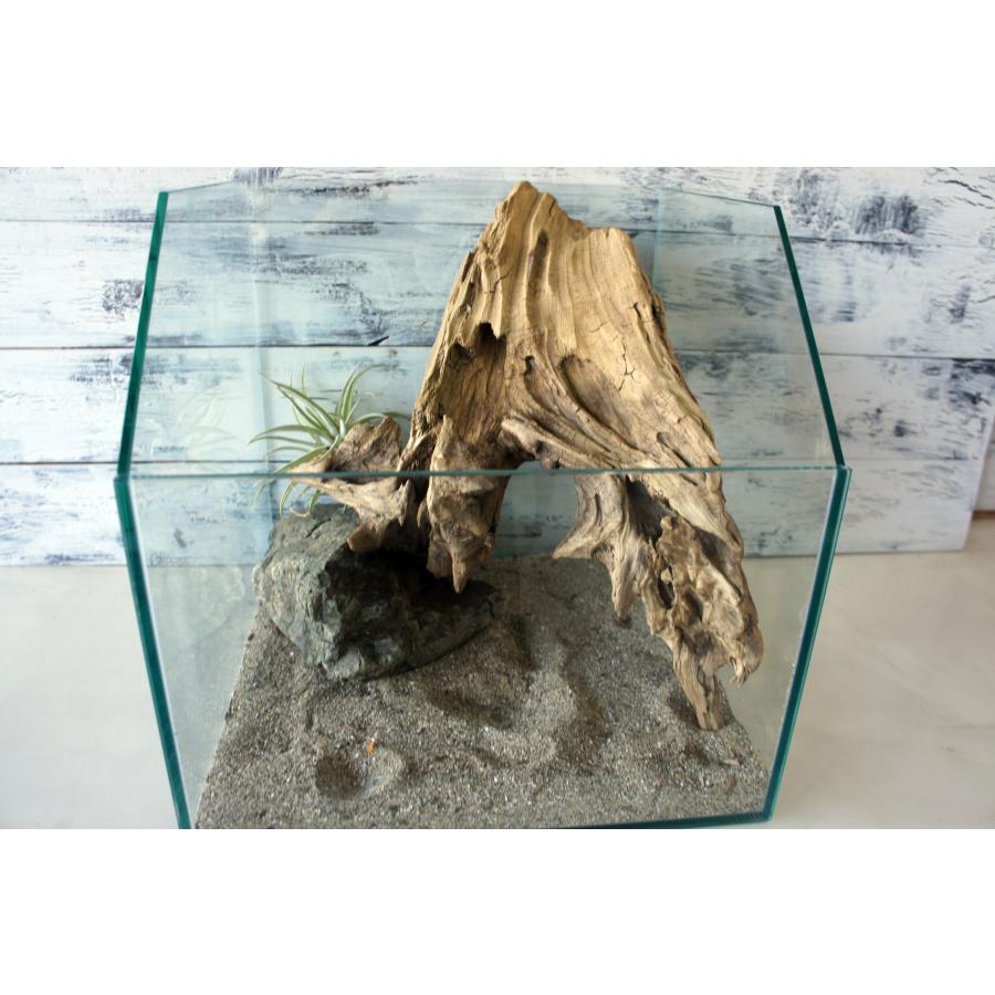 魚用品・水草 【煮沸殺菌・アク処理済】爬虫類の登り木やシェルター