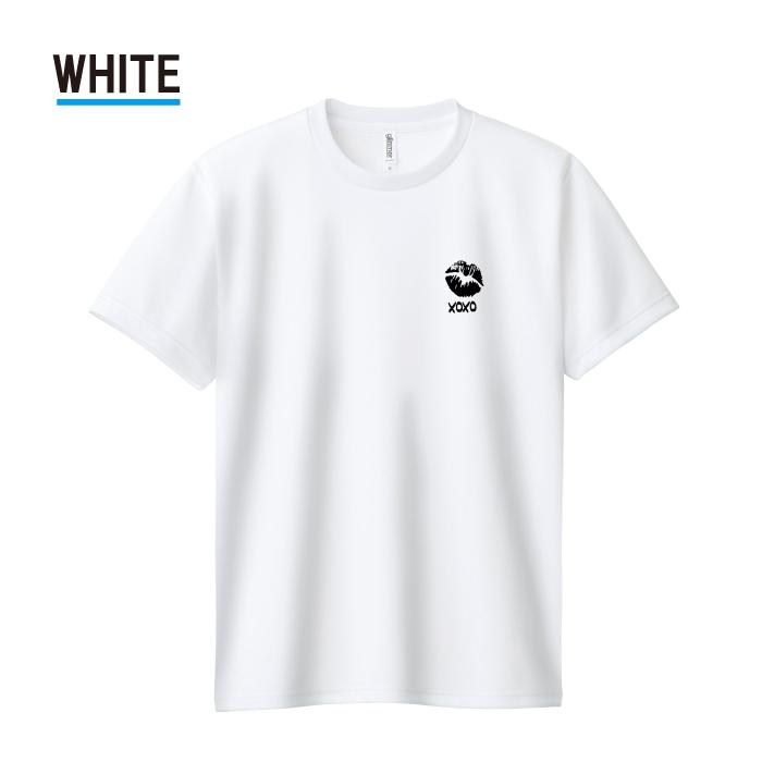 Tシャツ ドライTシャツ 速乾 吸汗 スポーツ ホワイト ブラック