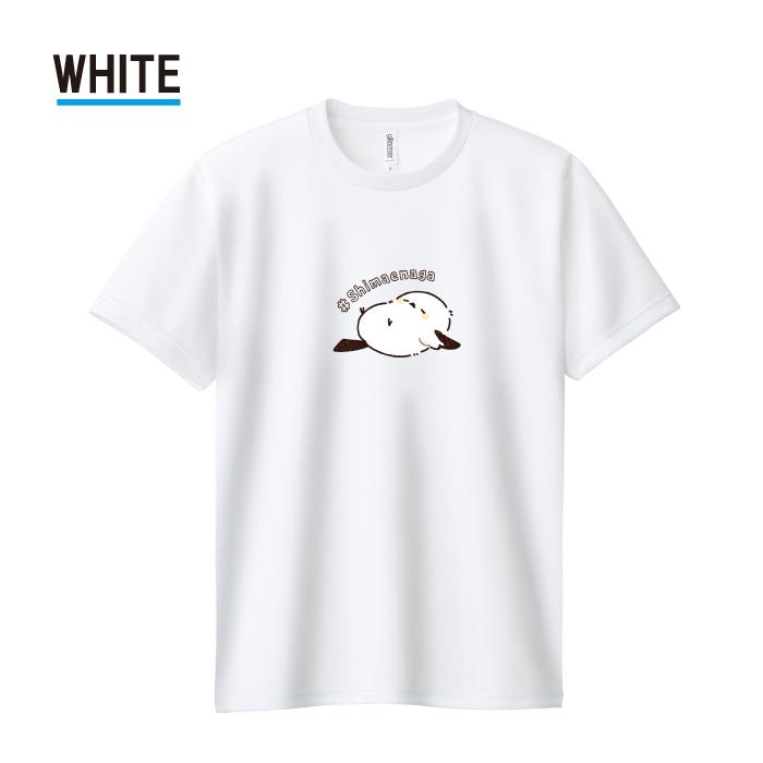 Tシャツ ドライTシャツ 速乾 吸汗 スポーツ ホワイト ブラック