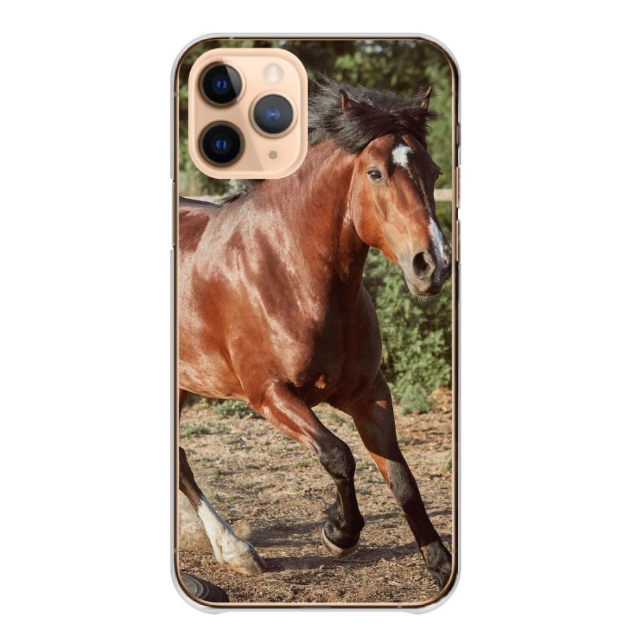 スマホケース iPhone 7 ケース カバー ハード 馬柄 馬 ウマ 写真 競馬 乗馬 フォト 送料無料｜woodgreen｜17