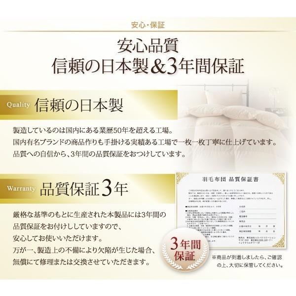 「送料無料・年末感謝」 羽毛掛け布団 クイーン グースダウン プレミアムゴールドラベル 羽毛布団 ブラック 黒 【V1304412708】(47516円)