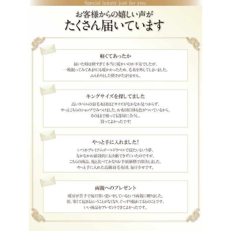 「送料無料・年末感謝」 羽毛掛け布団 クイーン グースダウン プレミアムゴールドラベル 羽毛布団 ブラック 黒 【V1304412708】(47516円)