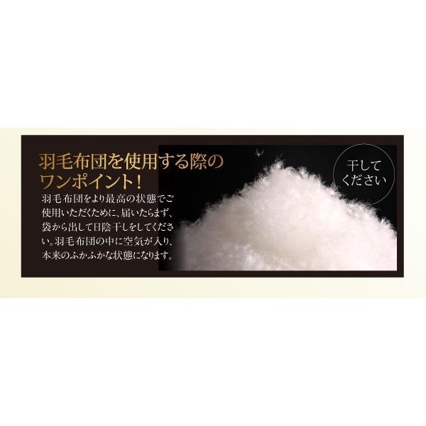 「送料無料・年末感謝」 羽毛掛け布団 クイーン グースダウン プレミアムゴールドラベル 羽毛布団 ブラック 黒 【V1304412708】(47516円)