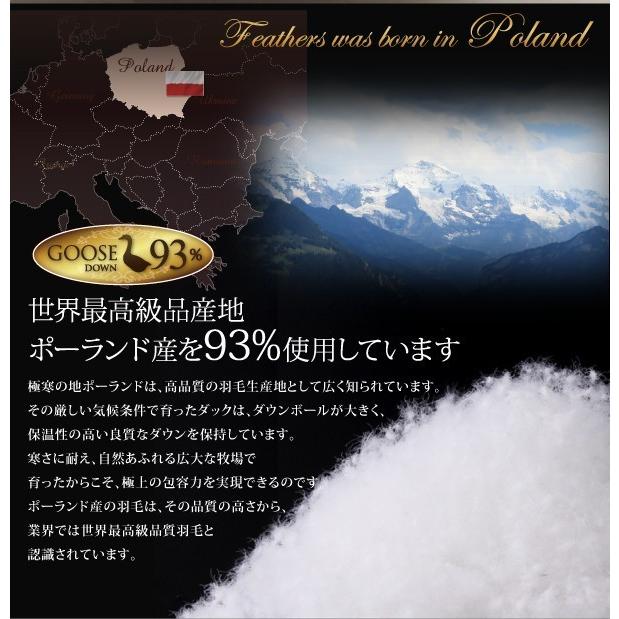 「送料無料・年末感謝」 羽毛掛け布団 クイーン グースダウン プレミアムゴールドラベル 羽毛布団 ブラック 黒 【V1304412708】(47516円)