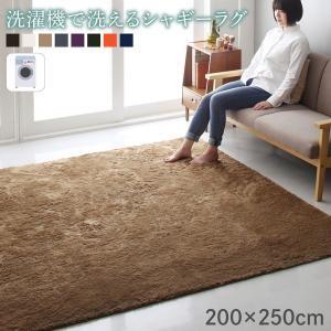 洗えるシャギーラグ 約3畳 長方形 200×250cm おしゃれ 洗濯機で洗えるラグ