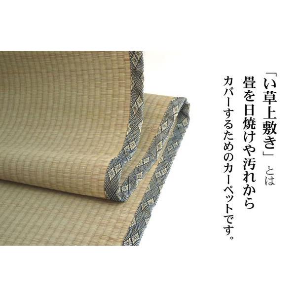 い草ラグ 本間6畳 約286×382cm おしゃれ 国産