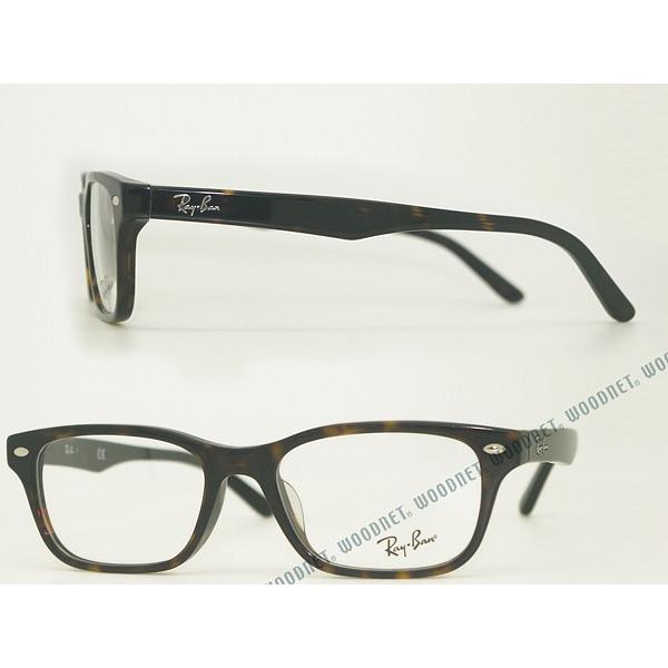 Ray-Ban RayBan レイバン 鼈甲柄ブラウン メガネフレーム Ray-Ban RayBan レイバン 鼈甲柄ブラウン メガネフレーム