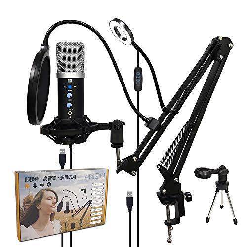 One Step コンデンサーマイク フルーセット Usb マイク Pc カラオケマイク エコー機能付き 単一