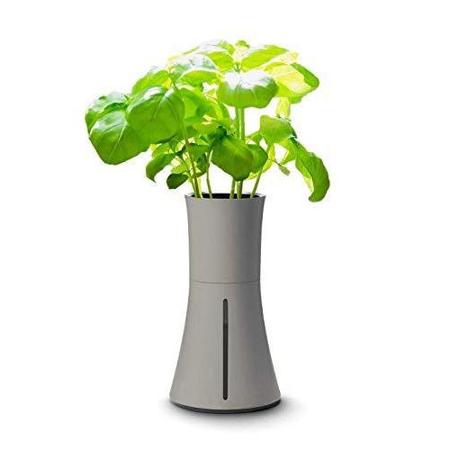 代引不可 Botanium ボタニアム 水耕栽培キット アッシュグレー 激安単価で Www Tiebreak Fr