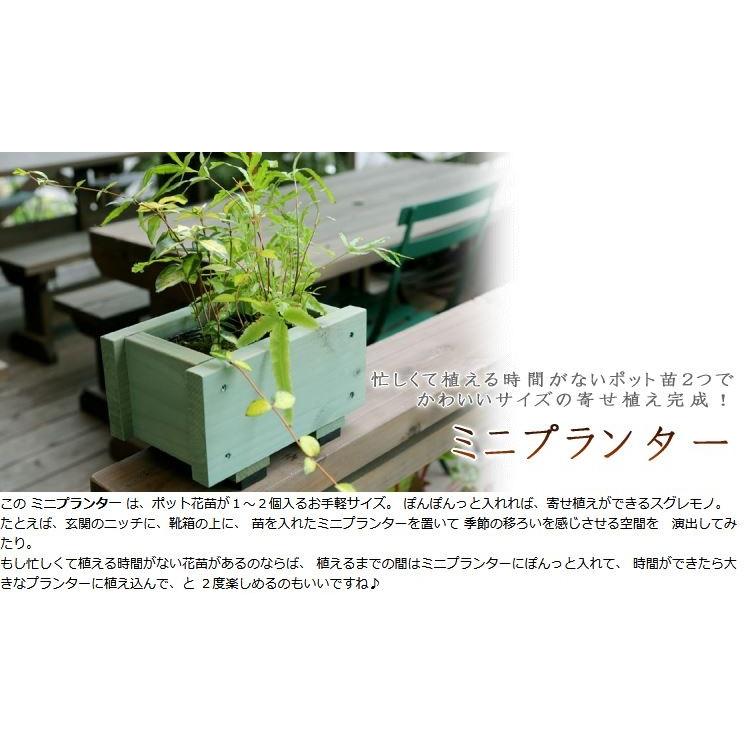 ミニプランター◇国産杉 （ダックスプランター100型長さ210mm