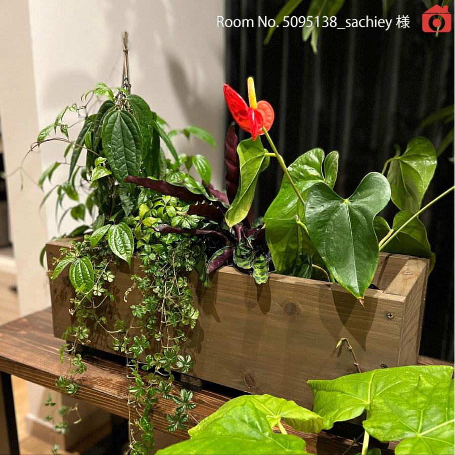 スクエアプランター 長方形 幅595×奥行230×高さ205ｍｍ 国産 植木鉢 鉢植えカバー ガーデン用 植物 鉢カバー おしゃれ 爆買 |  | 08