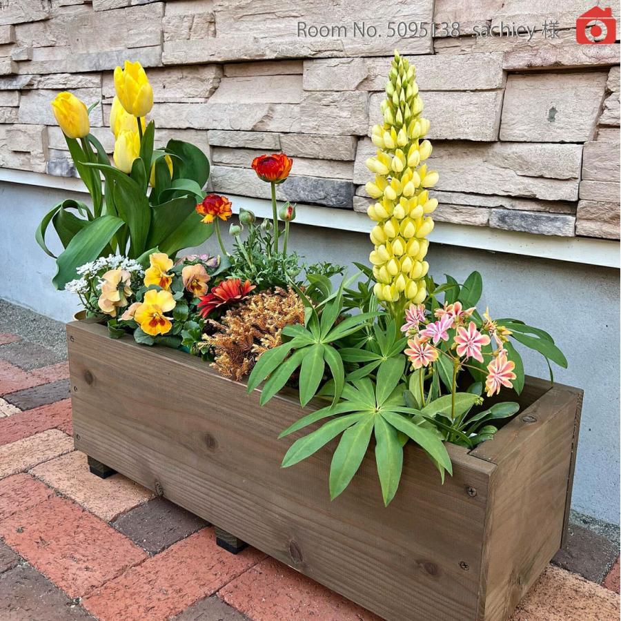 スクエアプランター 長方形 幅595×奥行230×高さ205ｍｍ 国産 植木鉢 鉢植えカバー ガーデン用 植物 鉢カバー おしゃれ 爆買 |  | 10