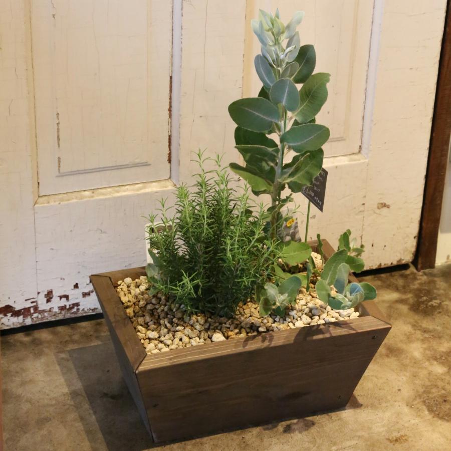 寄せ植え　植木鉢　プランター新商品入荷 寄せ植えプランター（深底）長方形 幅400mm×奥行260mm×高さ180mm