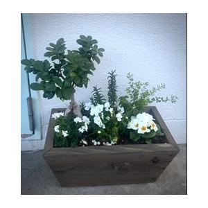 寄せ植えプランター（深底）長方形 幅400mm×奥行260mm×高さ180mm