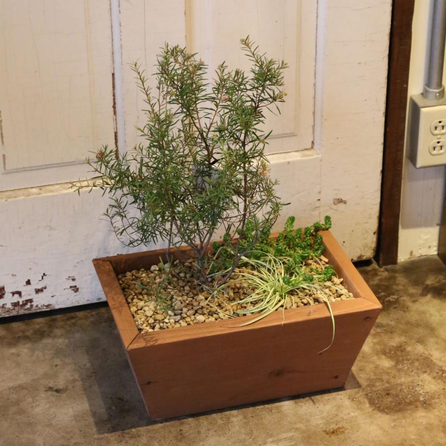 寄せ植えプランター（深底）長方形 幅400mm×奥行260mm×高さ180mm
