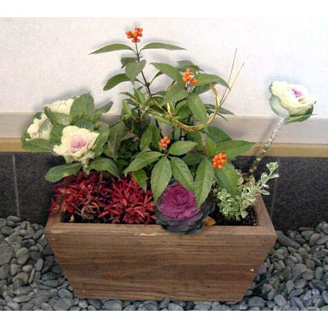 寄せ植えプランター（深底）長方形 幅400mm×奥行260mm×高さ180mm