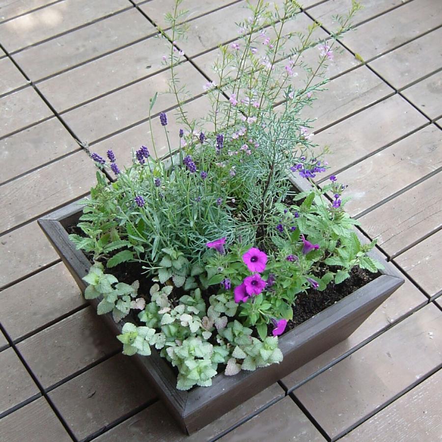 寄せ植えプランター（深底）XLサイズ 幅400mm×奥行400mm×高さ