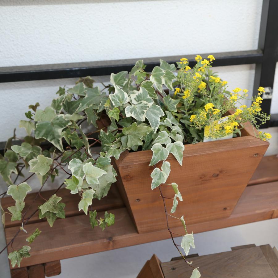 寄せ植えプランター（深底）Sサイズ 幅260mm×奥行260mm×高さ