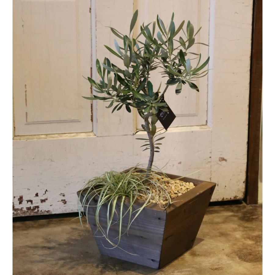 寄せ植えプランター（深底）Sサイズ 幅260mm×奥行260mm×高さ