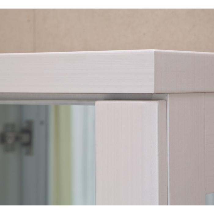 コレクションケース コレクションボード 棚 ガラス 薄型 幅60cm スリム コレクションボード 棚 ガラス