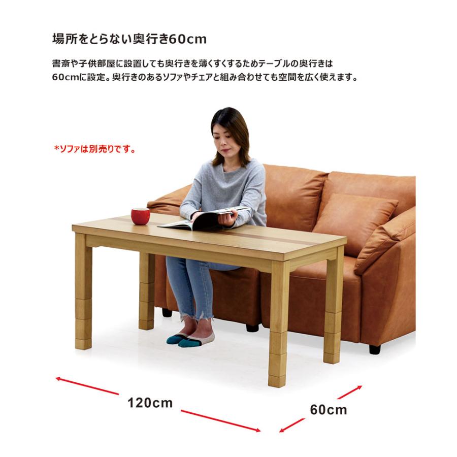 ハイタイプこたつ ロータイプ コタツテーブルのみ 幅120×60cm 栓