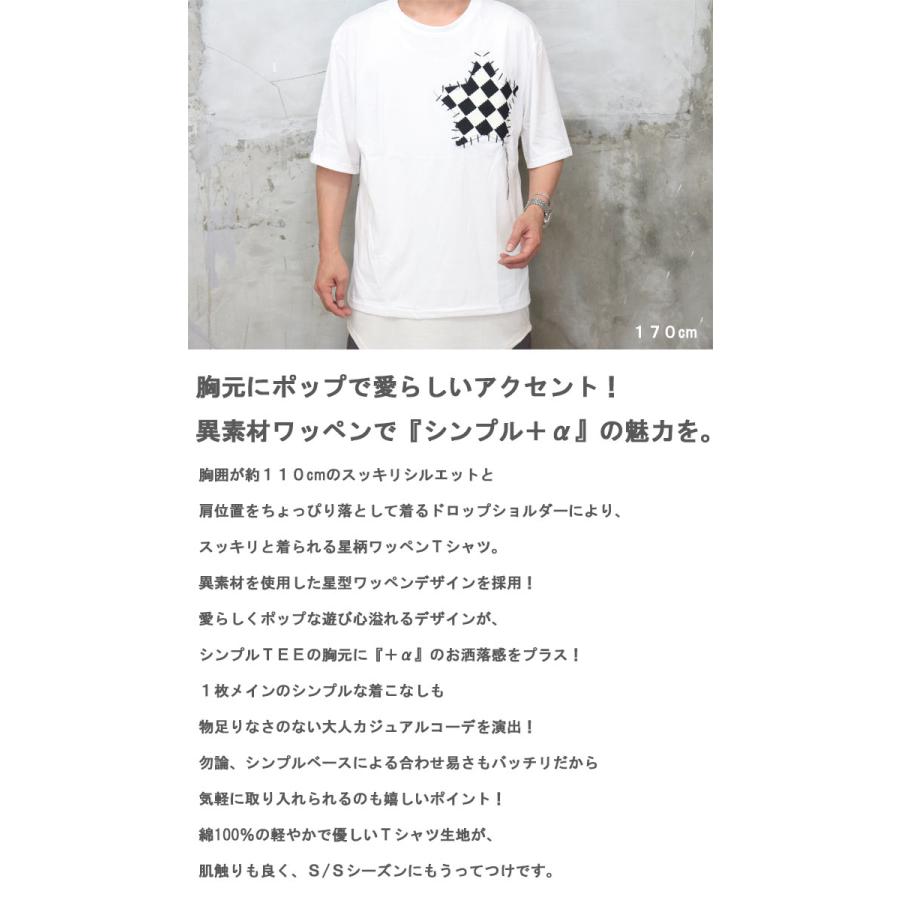 ワッペンTシャツ メンズ [M便 1/1] tシャツ 星柄Tシャツ チェックT