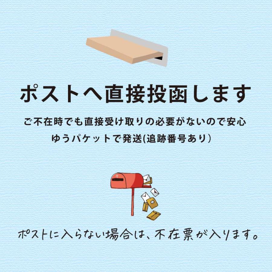 ダニ ダニよけ 防虫剤 除湿  消臭 天然由来成分 布団防ダニ WEB限定 アロマでダニよけシリカ 30包 アウトレット 収納 タンス 消臭剤 布団 枕 衣類  公式　｜woodylabo｜16