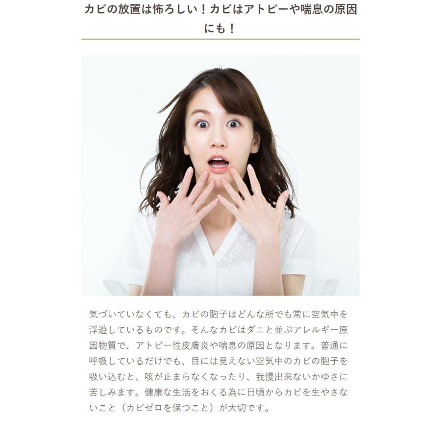 エアコンカビ 臭い 対策 防カビ 除菌 消臭 エアコン用アロマde防カビ エレガントアロマ カビ対策 大掃除 カビきれい 貼るだけ 清潔 リビング 寝室 子供部屋 公式 Woodylabo公式オンラインショップ 通販 Yahoo ショッピング