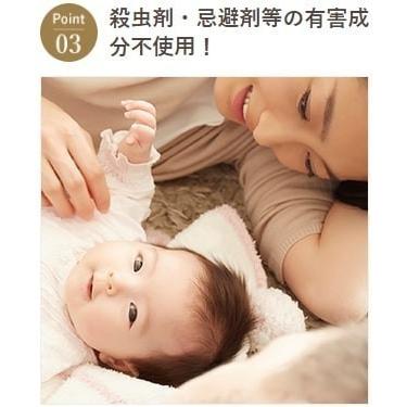 ダニよけシリカ ダニよけ 湿気対策 ベビー 赤ちゃん 布団 枕 天然由来成分 アロマ 防虫剤 アクアグリーン 置き型 除湿 消臭 カーペット 衣類 収納 新商品 公式 Woodylabo公式オンラインショップ 通販 Yahoo ショッピング