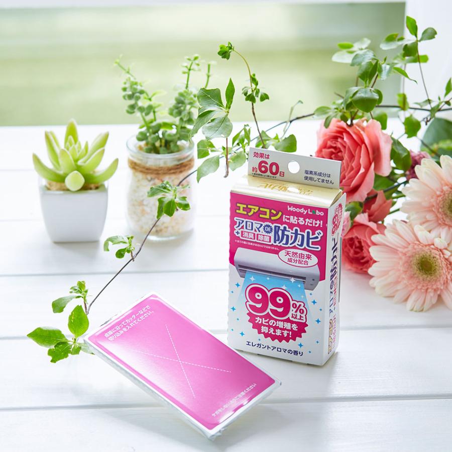 Woody Labo（ウッディラボ） エアコン 消臭 カビ防止 防カビ剤 消臭剤