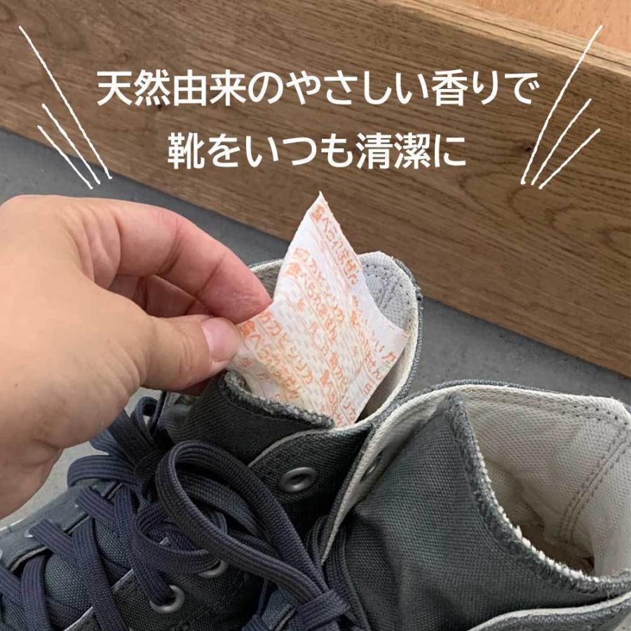 消臭 靴 消臭剤 消臭力 除湿剤 革靴 足の匂い消し 靴手入れ 革靴カビ 防カビ スニーカー 福袋 靴の消臭 除湿シリカ 除菌プラス 12足分 シューズケース 公式 Eco12 Woodylabo公式オンラインショップ 通販 Yahoo ショッピング