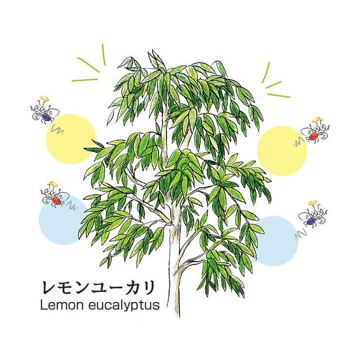 虫除け 虫除けスプレー カメムシ 蚊 蚊よけ クモ コバエ アリ 駆除 天然由来 防虫スプレー 室内 福袋 虫キライスプレー 4点 天然精油 ハーブ 赤ちゃん 日本製 :941414-B1R3:woodylabo公式オンラインショップ - 通販 - Yahoo!ショッピング 虫除け 虫除けスプレー カメムシ 蚊 蚊よけ クモ コバエ アリ 駆除 天然由来 防虫スプレー 室内 福袋 虫キライスプレー 4点 天然精油 ハーブ 赤ちゃん 日本製 :941414-B1R3:woodylabo公式オンラインショップ - 通販 - Yahoo!ショッピング