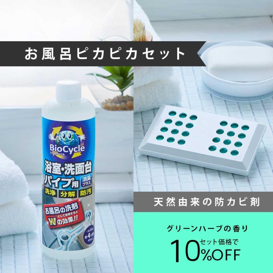 これで最後クリーナーセット 各種洗剤